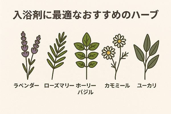 入浴剤に最適なおすすめの５つのハーブのイラスト