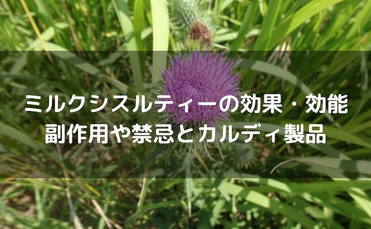 ミルクシスルティーの効能・効果｜副作用や禁忌とカルディの製品について